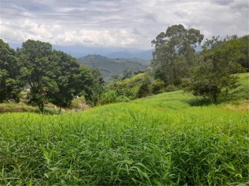 Lote en venta en La Cabaña, Manizales, 2000 m² · foto 7 de 24