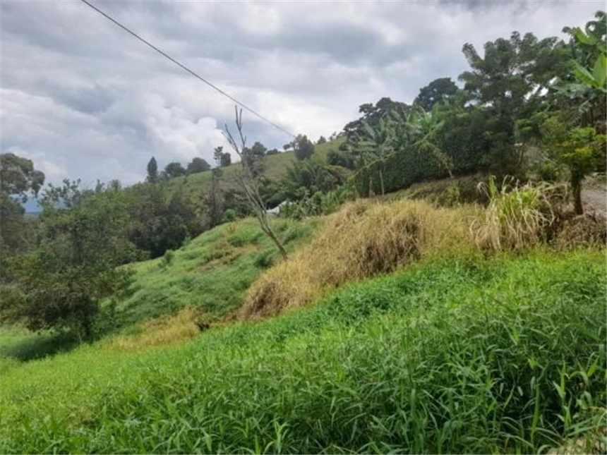 Lote en venta en La Cabaña, Manizales, 2000 m² · foto 8 de 24