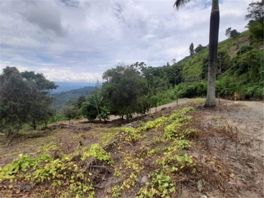 Lote en venta en La Cabaña, Manizales, 2000 m² · foto 16 de 24