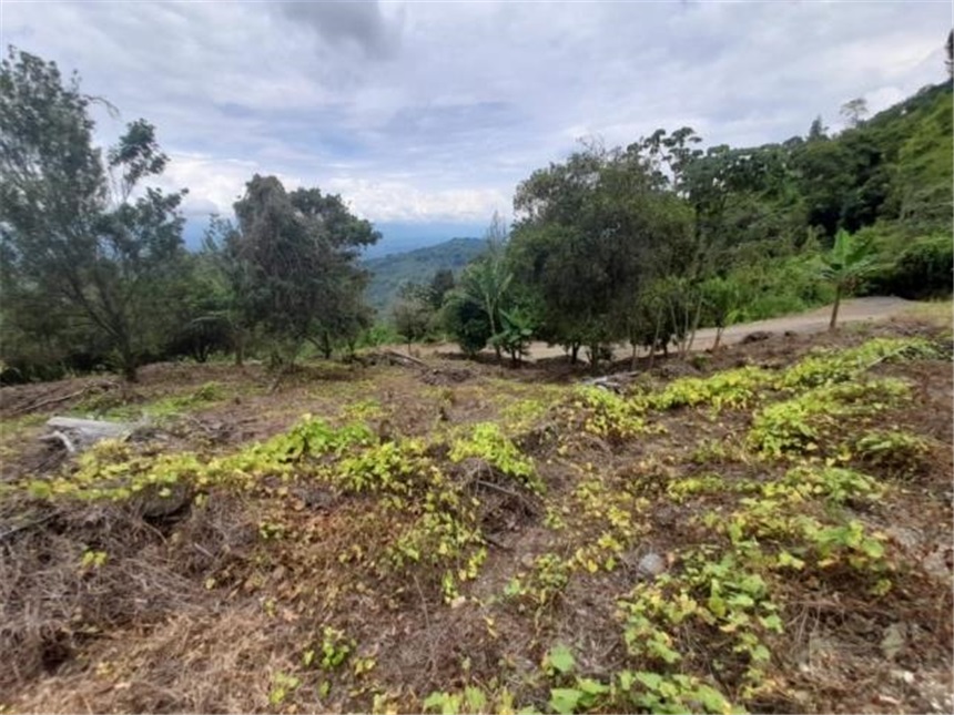 Lote en venta en La Cabaña, Manizales, 2000 m² · foto 13 de 24