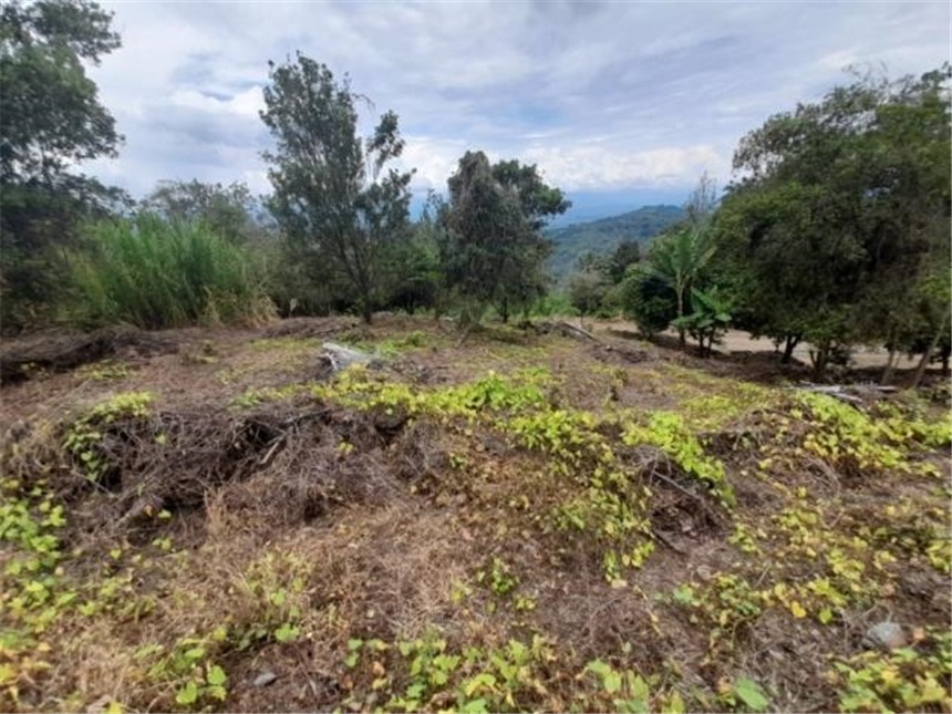 Lote en venta en La Cabaña, Manizales, 2000 m² · foto 14 de 24