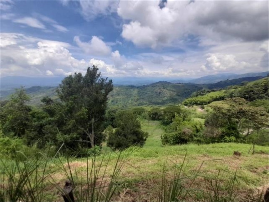 Lote en venta en La Cabaña, Manizales, 2000 m² · foto 5 de 24