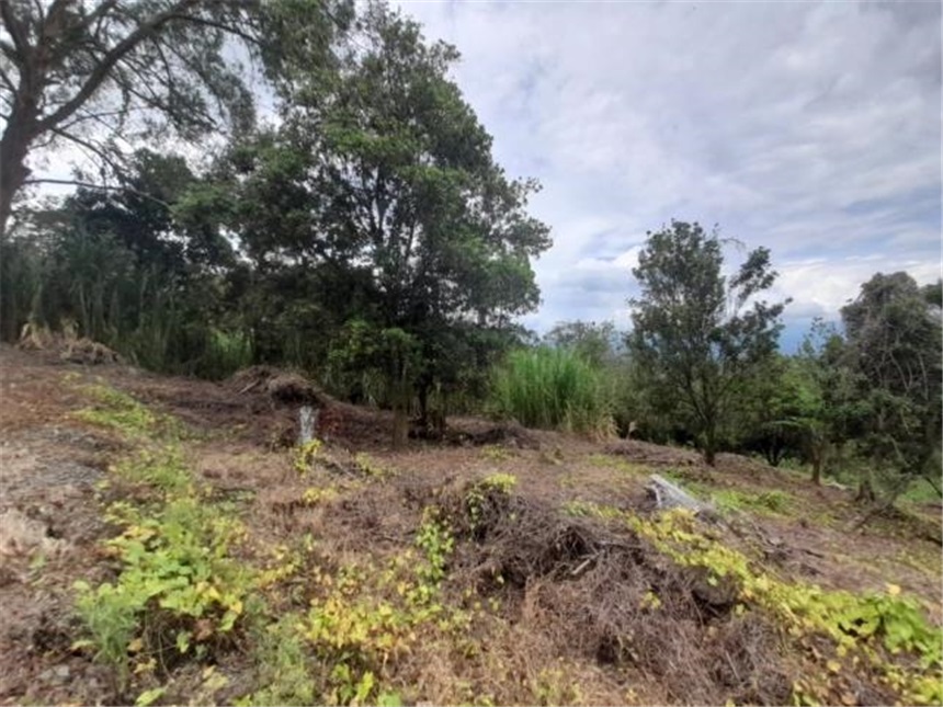 Lote en venta en La Cabaña, Manizales, 2000 m² · foto 18 de 24
