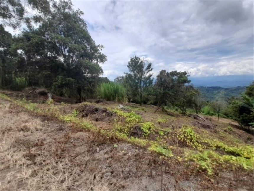 Lote en venta en La Cabaña, Manizales, 2000 m² · foto 15 de 24