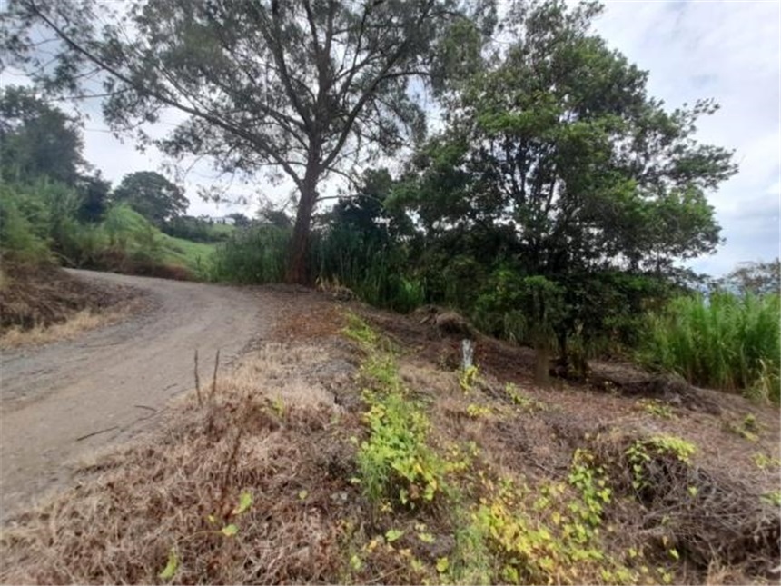 Lote en venta en La Cabaña, Manizales, 2000 m² · foto 17 de 24