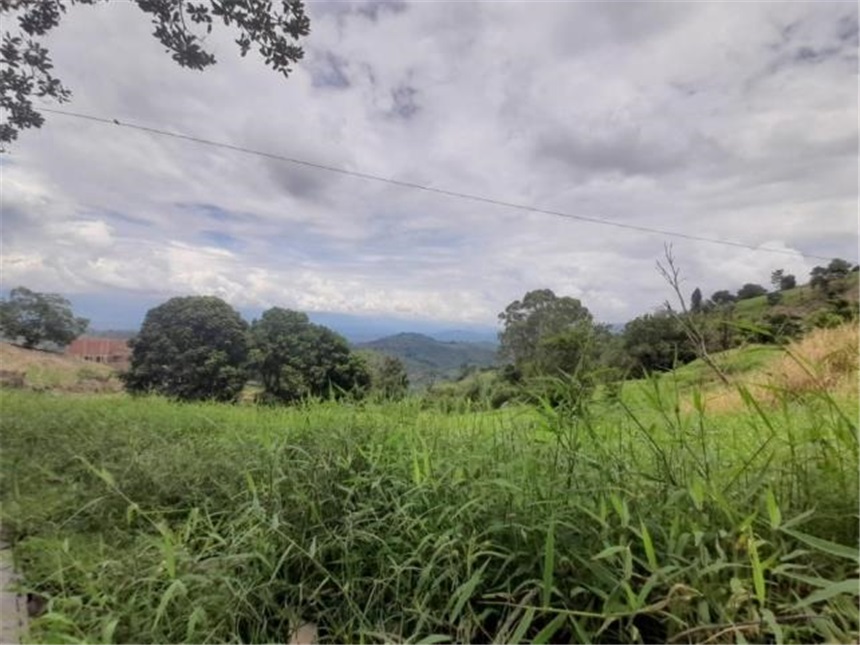Lote en venta en La Cabaña, Manizales, 2000 m² · foto 11 de 24