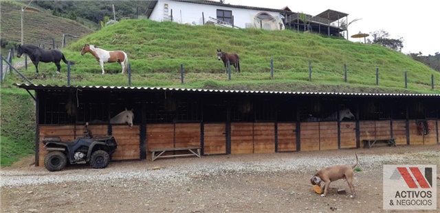 Finca en venta en La Hondita, Guarne, 5800 m² · foto 8 de 24