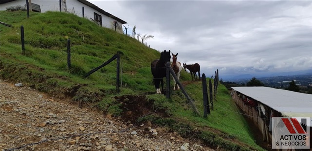 Finca en venta en La Hondita, Guarne, 5800 m² · foto 9 de 24