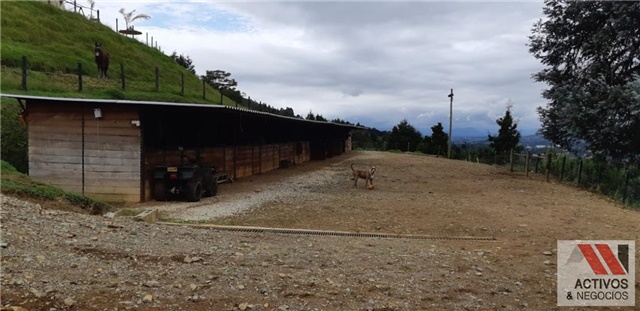 Finca en venta en La Hondita, Guarne, 5800 m² · foto 13 de 24