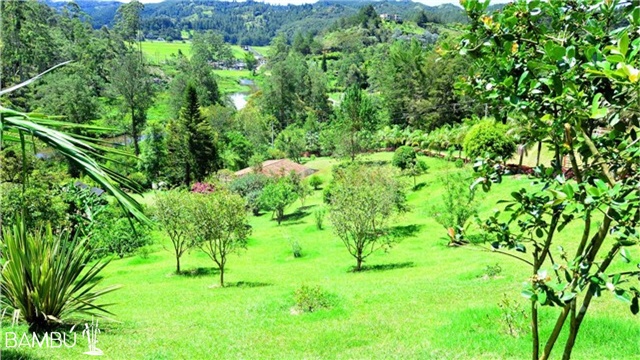 Finca en venta en Guayaquil, El Retiro, 30000 m² · foto 19 de 24