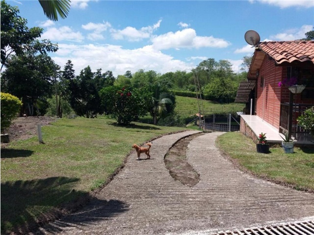 Finca en Venta - Prikaz 3