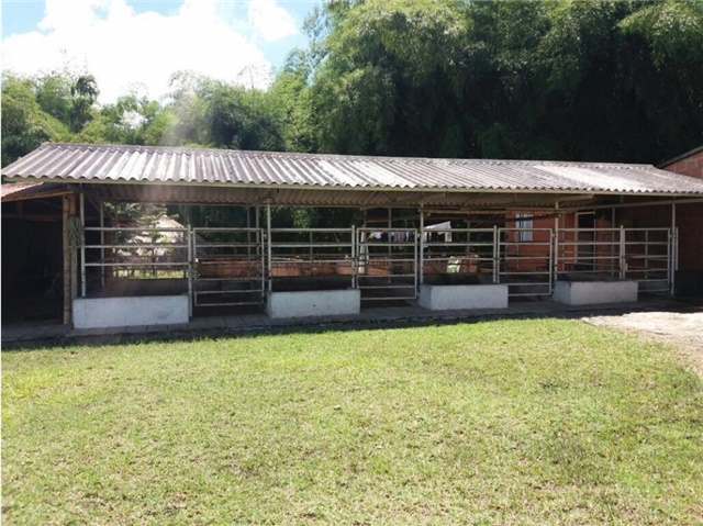 Finca en Venta - Prikaz 6