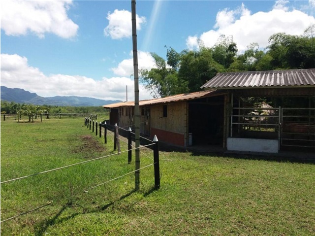 Finca en Venta - Više