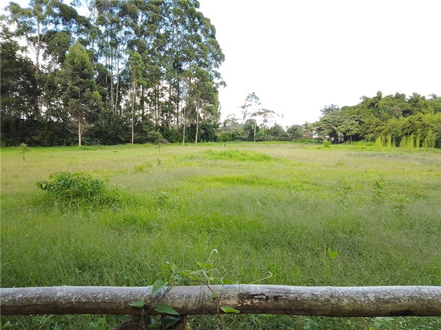 Lote en venta en Llano Grande, Rionegro, 6600 m² · foto 4 de 5