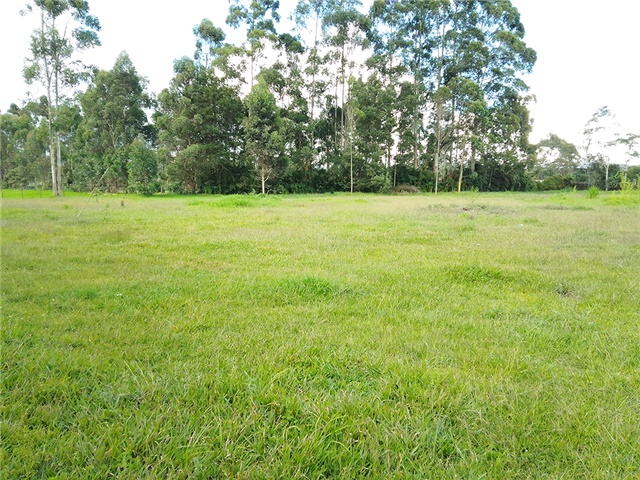 Lote en venta en Llano Grande, Rionegro, 6600 m² · foto 5 de 5