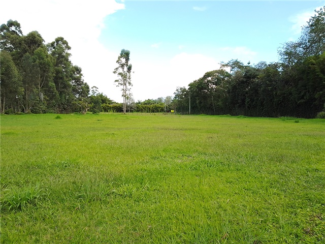 Lote en venta en Llano Grande, Rionegro, 7750 m² · foto 4 de 5