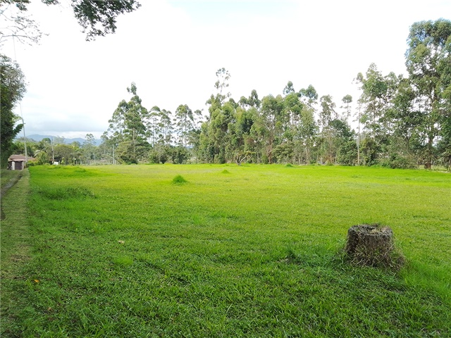 Lote en venta en Llano Grande, Rionegro, 7750 m² · foto 5 de 5