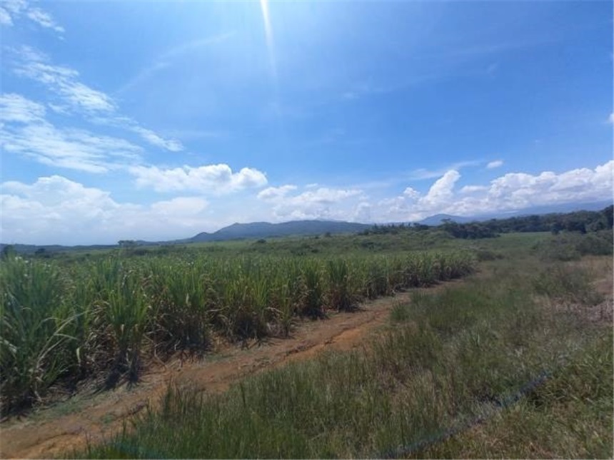 House in Santander de quilichao - View 3