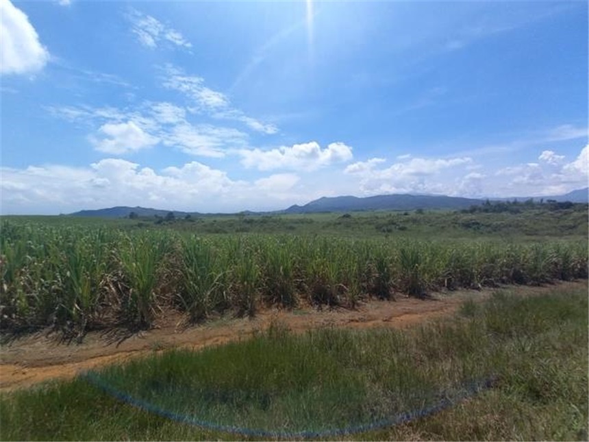 House in Santander de quilichao - View 5