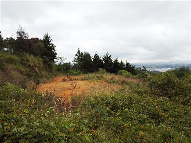 Lote en venta en El Porvenir, Rionegro, 13000 m² · foto 2 de 5