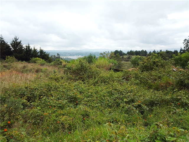 Lote en venta en El Porvenir, Rionegro, 13000 m² · foto 3 de 5