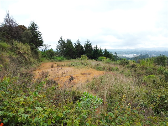 Lote en venta en El Porvenir, Rionegro, 13000 m² · foto 4 de 5