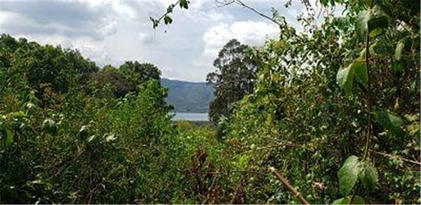 Lote en venta en San Rafael, La Calera, 2799 m² · foto 12 de 15