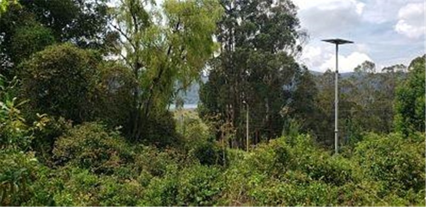 Lote en venta en San Rafael, La Calera, 2799 m² · foto 6 de 15