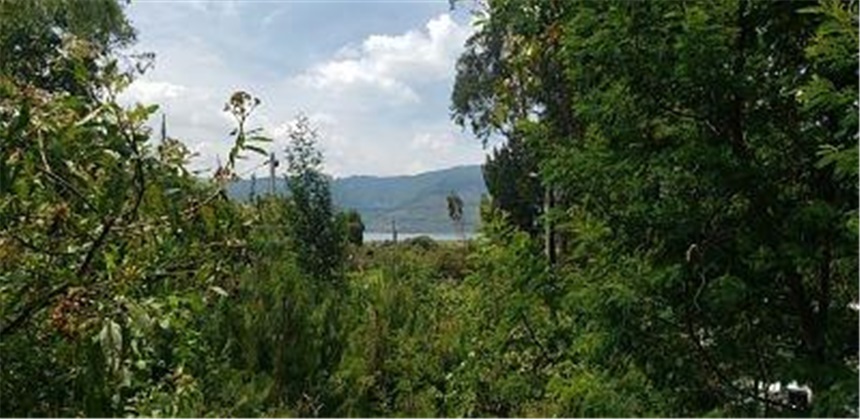 Lote en venta en San Rafael, La Calera, 2799 m² · foto 4 de 15