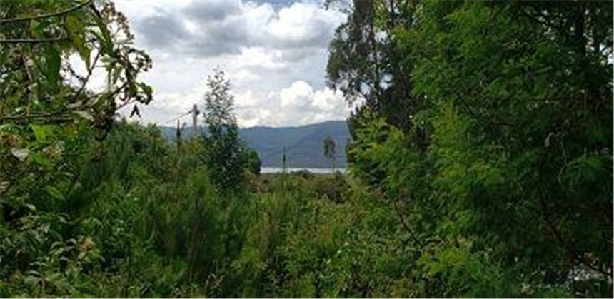 Lote en venta en San Rafael, La Calera, 2799 m² · foto 11 de 15