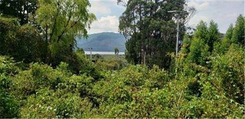 Lote en venta en San Rafael, La Calera, 2799 m² · foto 10 de 15