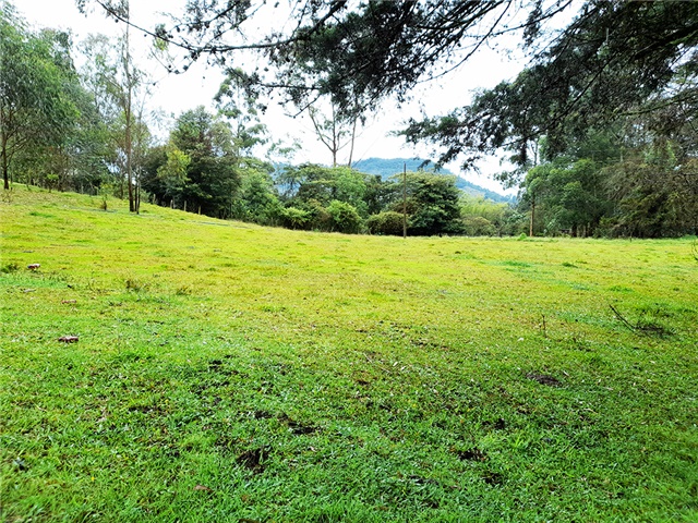 Lote en Venta - View 2