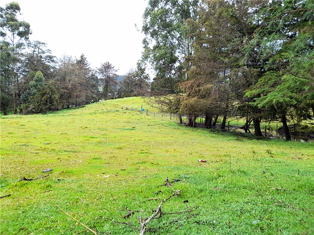 Lote en Venta - View 3