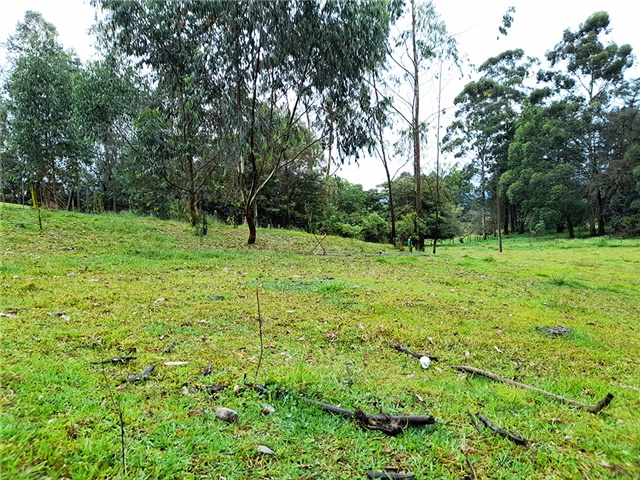 Lote en Venta - View 4
