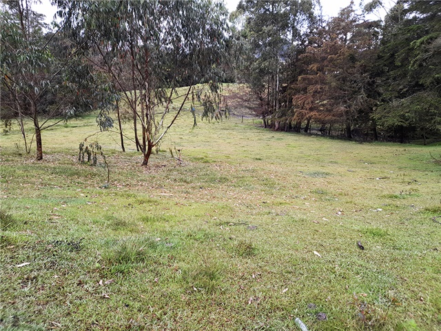 Lote en Venta - View 5