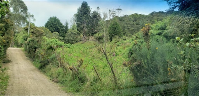Lote en venta en Santa Ana De Chia, Chía, 40000 m² · foto 2 de 16