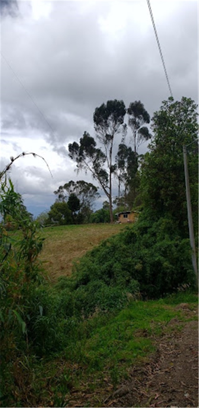 Lote en venta en Santa Ana De Chia, Chía, 40000 m² · foto 3 de 16