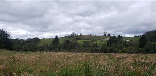 Lote en venta en Santa Ana De Chia, Chía, 40000 m² · foto 5 de 16