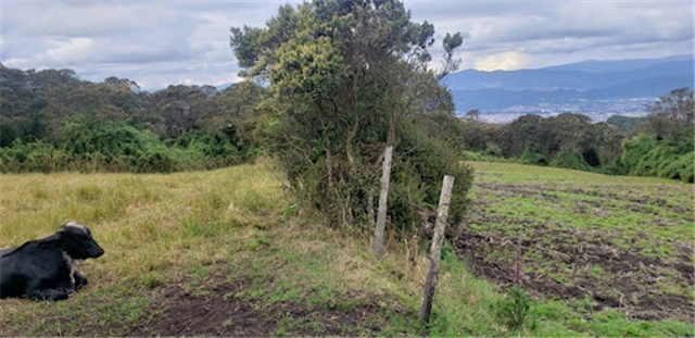Lote en venta en Santa Ana De Chia, Chía, 40000 m² · foto 7 de 16