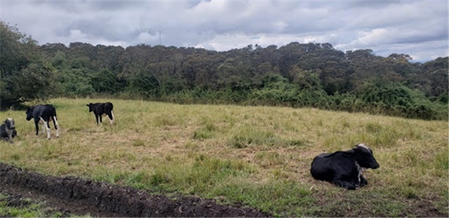Lote en venta en Santa Ana De Chia, Chía, 40000 m² · foto 8 de 16