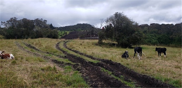 Lote en venta en Santa Ana De Chia, Chía, 40000 m² · foto 9 de 16