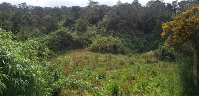 Lote en venta en Santa Ana De Chia, Chía, 40000 m² · foto 13 de 16