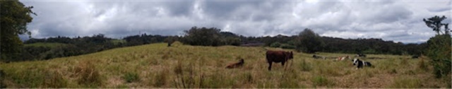 Lote en venta en Santa Ana De Chia, Chía, 40000 m² · foto 15 de 16