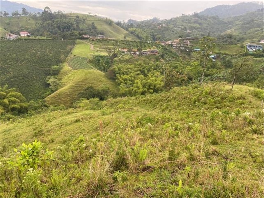 Finca en venta en El Progreso, Dosquebradas · foto 8 de 10
