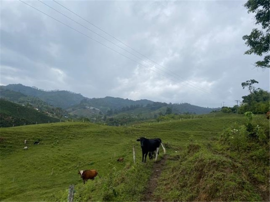 Finca en venta en El Progreso, Dosquebradas · foto 5 de 10