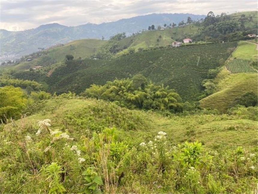 Finca en venta en El Progreso, Dosquebradas · foto 9 de 10