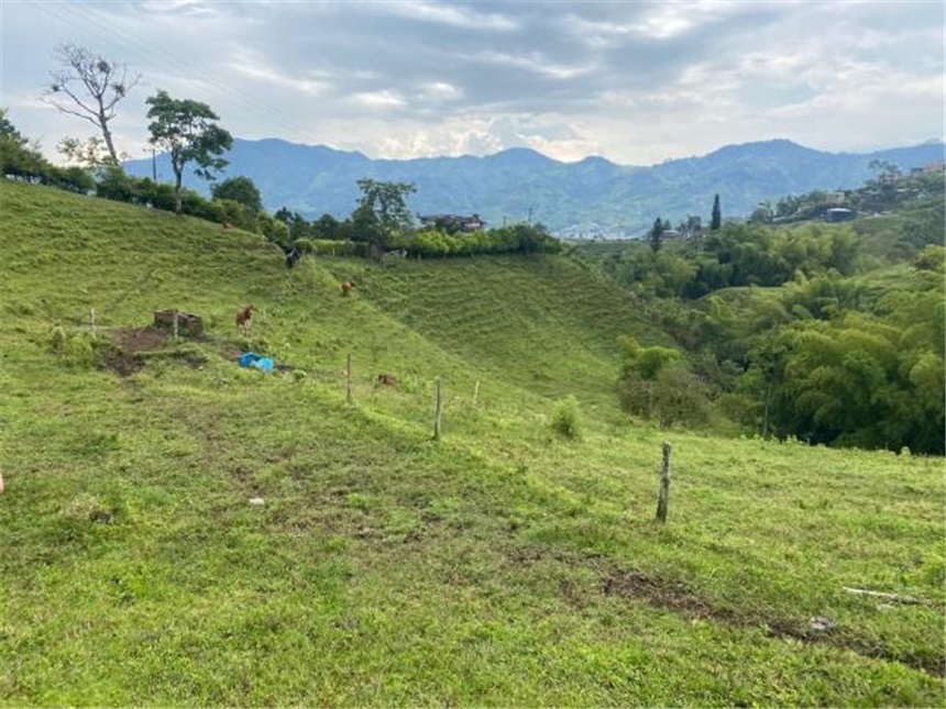 Finca en venta en El Progreso, Dosquebradas · foto 6 de 10