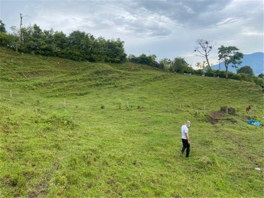 Finca en venta en El Progreso, Dosquebradas · foto 4 de 10