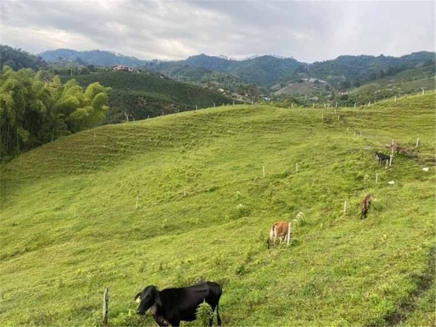 Finca en venta en El Progreso, Dosquebradas · foto 7 de 10