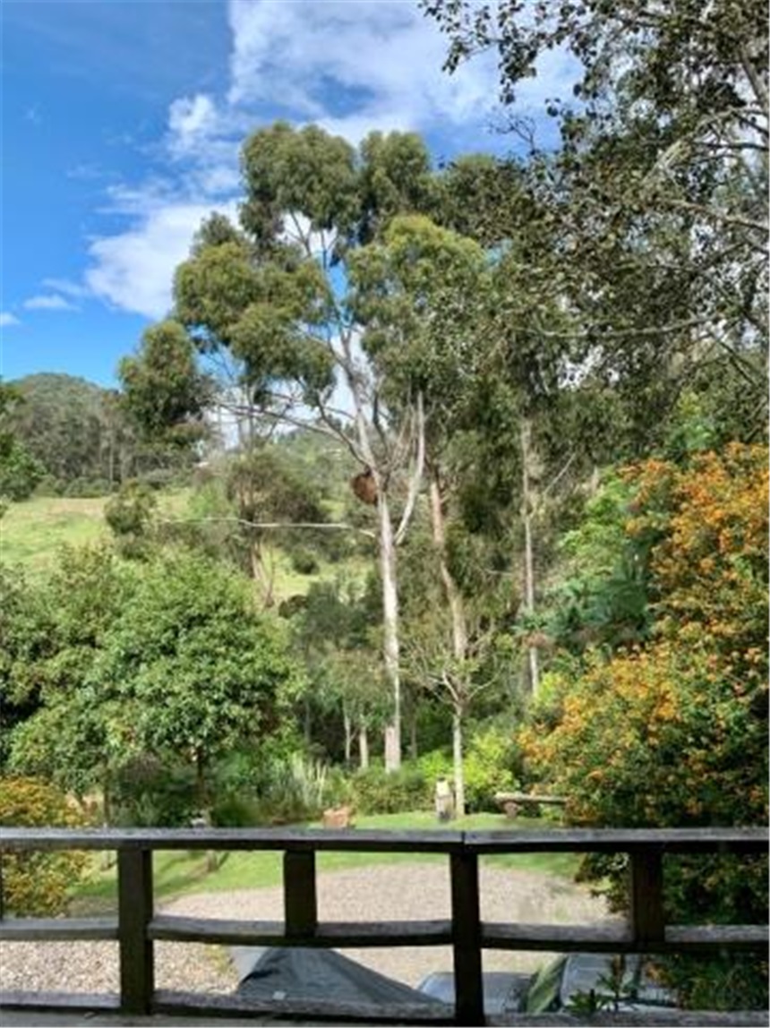 Casa en venta en El Hato, La Calera · foto 11 de 24